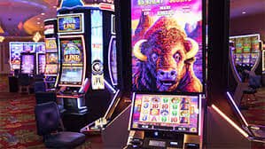 earn ph bingo room lobby showing game cards and prize pool